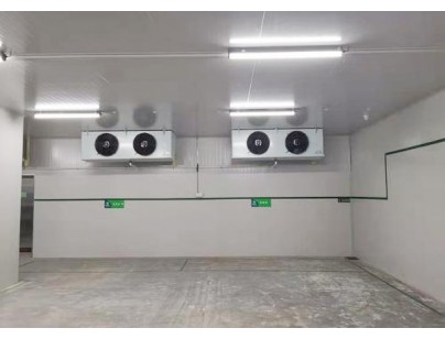 徐州血站95m3醫(yī)藥自動化冷庫工程建造方案