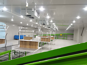 物流冷庫(kù)建造內(nèi)景