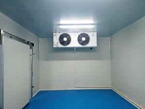 醫(yī)藥冷庫工程內部圖片