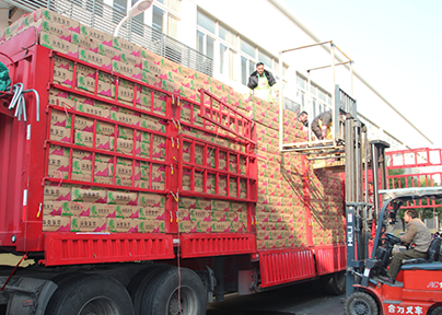 上海松江冷庫(kù)出租運(yùn)營(yíng)代發(fā)貨圖片