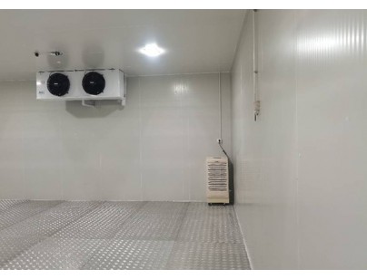 上海優(yōu)寧維集團(tuán)生物醫(yī)藥冷藏、冷凍庫工程案例