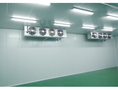 四川核源實業(yè)1000平方核桃氣調保鮮庫工程建造方案