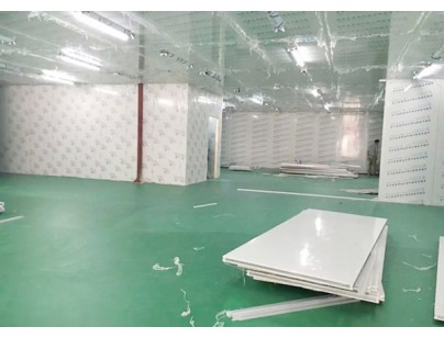 四川核源實業(yè)1000平方核桃氣調保鮮庫工程建造方案