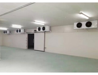 遠大（杭州）48000m3生物醫(yī)藥冷庫規(guī)劃建造工程案例