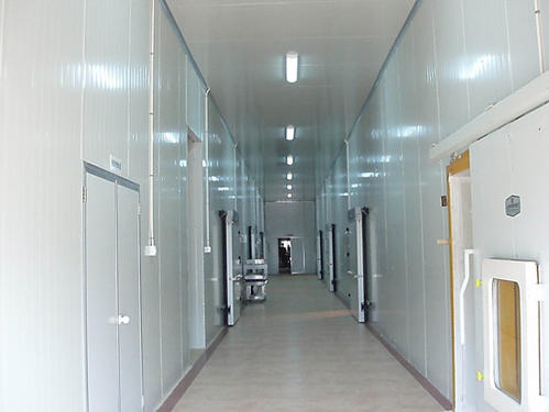 大型冷庫建設成本需要多少錢一平米?