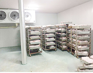 屠宰凍庫造價標(biāo)準(zhǔn)是多少錢一平方？