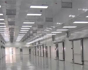 大型冷鏈物流冷庫設(shè)計定做冷庫多少錢一平方合適？