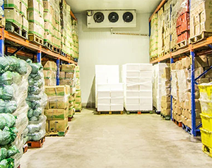 5000噸的果蔬保鮮庫的占地面積以及冷庫投入資金？