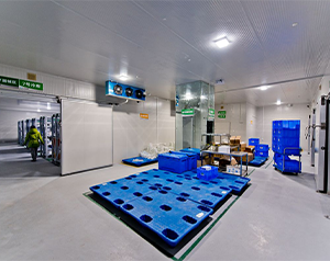 血制品公司建造80立方-25~-30℃血漿冷庫的方案報價？