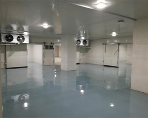 血制品公司建造80立方-25~-30℃血漿冷庫的方案報價？