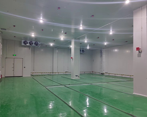 化工企業(yè)內建造一個100平防爆冷庫的設計安裝費用？