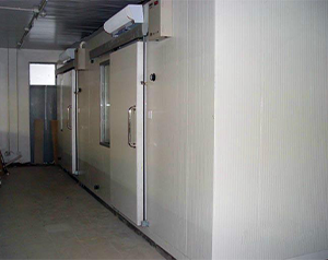 建設(shè)一個(gè)萬噸冷藏庫投資費(fèi)用需要多少?