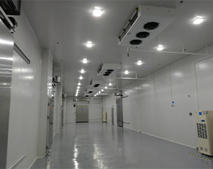 醫(yī)藥冷庫建造這些您了解嗎？藥品冷庫建設(shè)多少錢