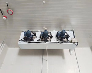 化工廠防爆冷庫(kù)設(shè)計(jì)安裝常見(jiàn)要求