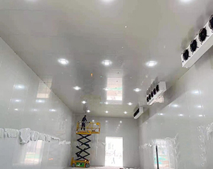 菜市場冷庫安裝費用大概需要多少錢一平方米？