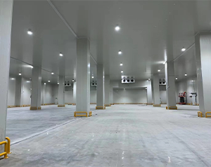 你知道未來哪種冷庫更有市場潛力，有“錢”景？