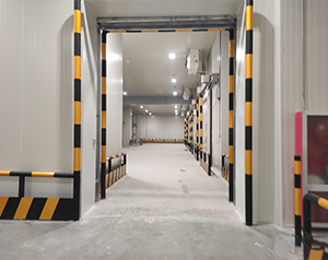 100噸雞蛋保鮮冷庫(kù)應(yīng)該建多大？及造價(jià)費(fèi)用說明