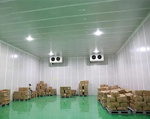 農(nóng)產(chǎn)品物流冷庫，電商低溫倉儲冷庫建造及運營成本預(yù)算