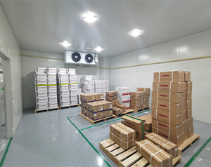 醫(yī)藥冷庫(kù)建設(shè)多少錢一平米