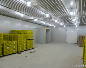 建設(shè)一個150平米氣調(diào)庫，大概需要多少資金