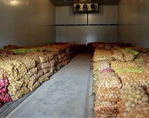 建造一千噸紅薯保鮮庫，費(fèi)用大概在多少？