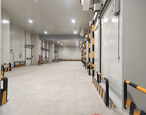 蘆筍保鮮庫(kù)成本造價(jià)是多少?蘆筍如何保存?