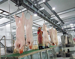 豬肉加工廠冷庫如何進行設計建造？