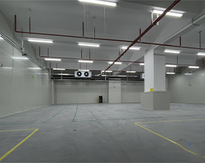 60平方氣調(diào)冷庫(kù)造價(jià)多少錢(qián)？總立方在360立方米氣調(diào)庫(kù)價(jià)格