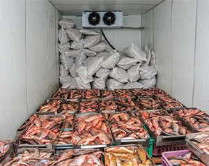 舌尖上的漁業(yè)制冷-海鮮、魚類冷庫