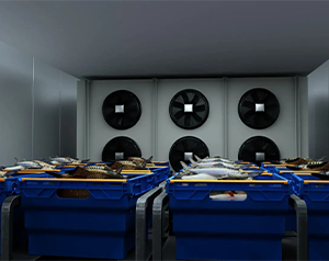 亂世之秋 生鮮電商如何突圍？