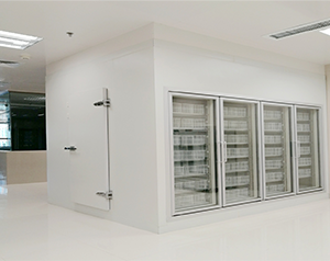 醫(yī)藥冷庫建設(shè)標準是什么