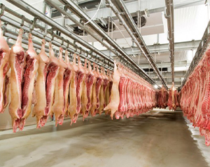 100平方肉類(lèi)屠宰場(chǎng)冷庫(kù)造價(jià)要多少錢(qián)