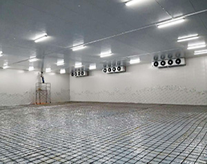 冷庫(kù)設(shè)計(jì)安裝報(bào)價(jià)廠(chǎng)家標(biāo)準(zhǔn)規(guī)范要求多少錢(qián)？