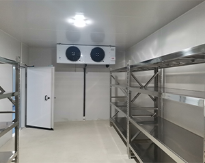 裝配式冷庫(kù)建造方案及流程