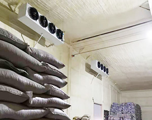 種子冷庫建造，種子冷庫溫度要求