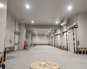 四川1500平方食品冷庫設(shè)計報價預(yù)算多少？