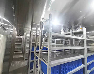 超低溫冷庫制作廠家_提供可靠、高效的冷藏解決方案