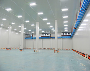 50棟冷庫建造價(jià)格表,建造一個(gè)50棟冷庫大概多少錢