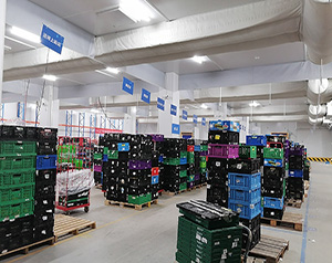 2萬方的農(nóng)貿(mào)市場(chǎng)配多大面積的冷庫