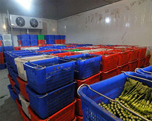 江西酒店廚房雙溫冷庫(kù)設(shè)計(jì)方案