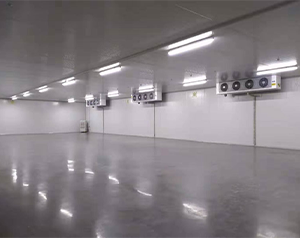 海南1500平醫(yī)藥倉庫冷庫造價多少錢?