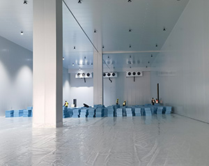 正常情況下國(guó)標(biāo)冷庫(kù)建設(shè)每平方多少錢？