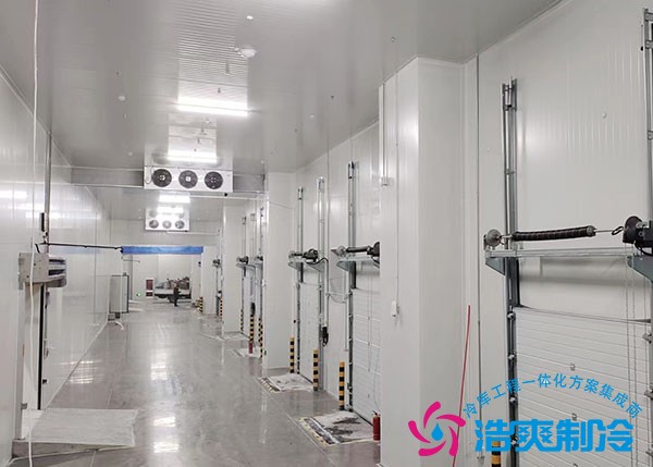 低溫冷庫建設(shè)