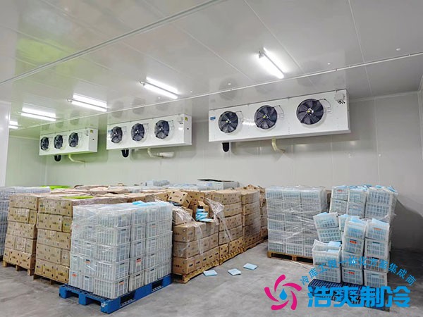 1000平米醫(yī)藥冷庫建設(shè)方案及造價清單