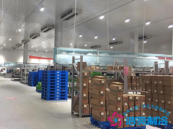 2024年醫(yī)藥GSP藥品陰涼庫的設計方案