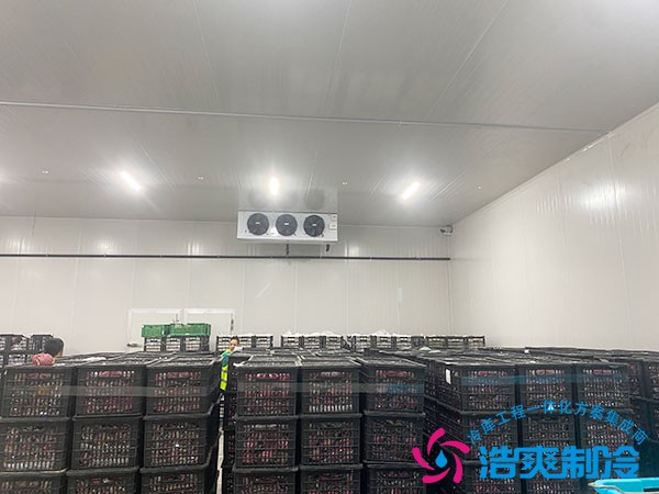 100立方冷凍庫造價預(yù)算需要多少錢？