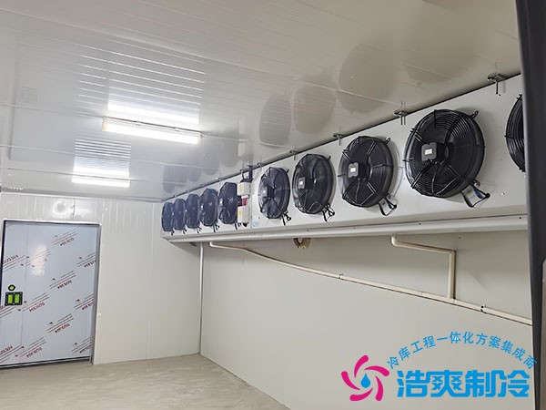 冷凍庫(kù)建造多少錢(qián)
