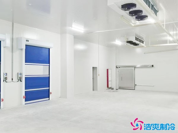 上海大型保鮮冷庫(kù)安裝完工圖