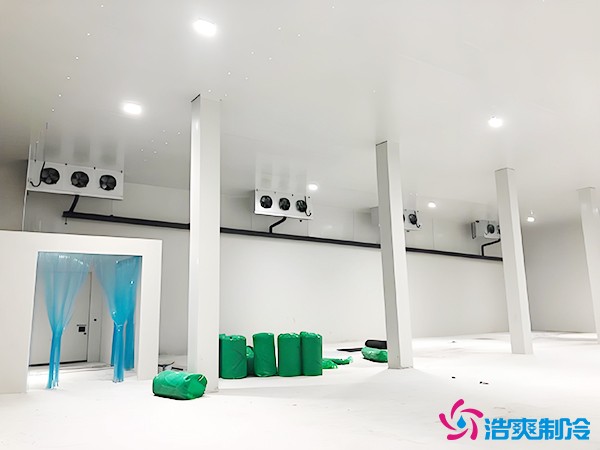 建造萬噸級大型冷庫造價大概多少錢？萬噸冷庫造價影響因素