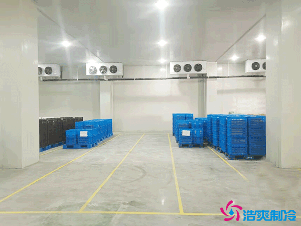 建造萬噸級大型冷庫造價大概多少錢？萬噸冷庫造價影響因素